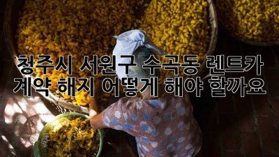 청주시 서원구 수곡동 렌트카 계약 해지, 어떻게 해야 할까요?