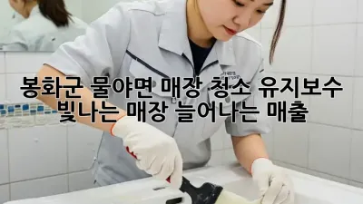 봉화군 물야면 매장 청소 유지보수: 빛나는 매장, 늘어나는 매출!