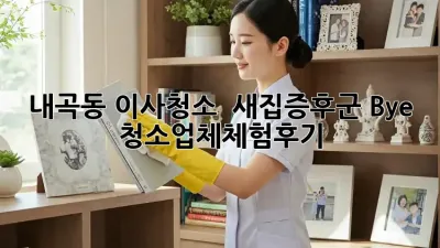 내곡동 이사청소 ✨ 새집증후군 Bye! #청소업체체험후기